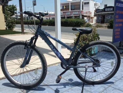 Mountain Bike